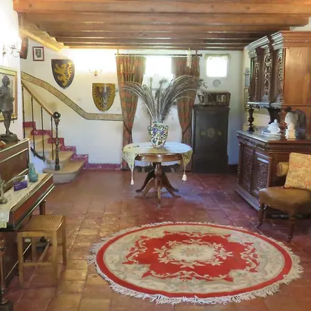 Chateau De Rochebonne فيلة Saint-Just-Luzac